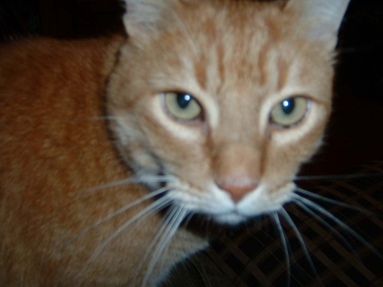 DSCF0002.JPG