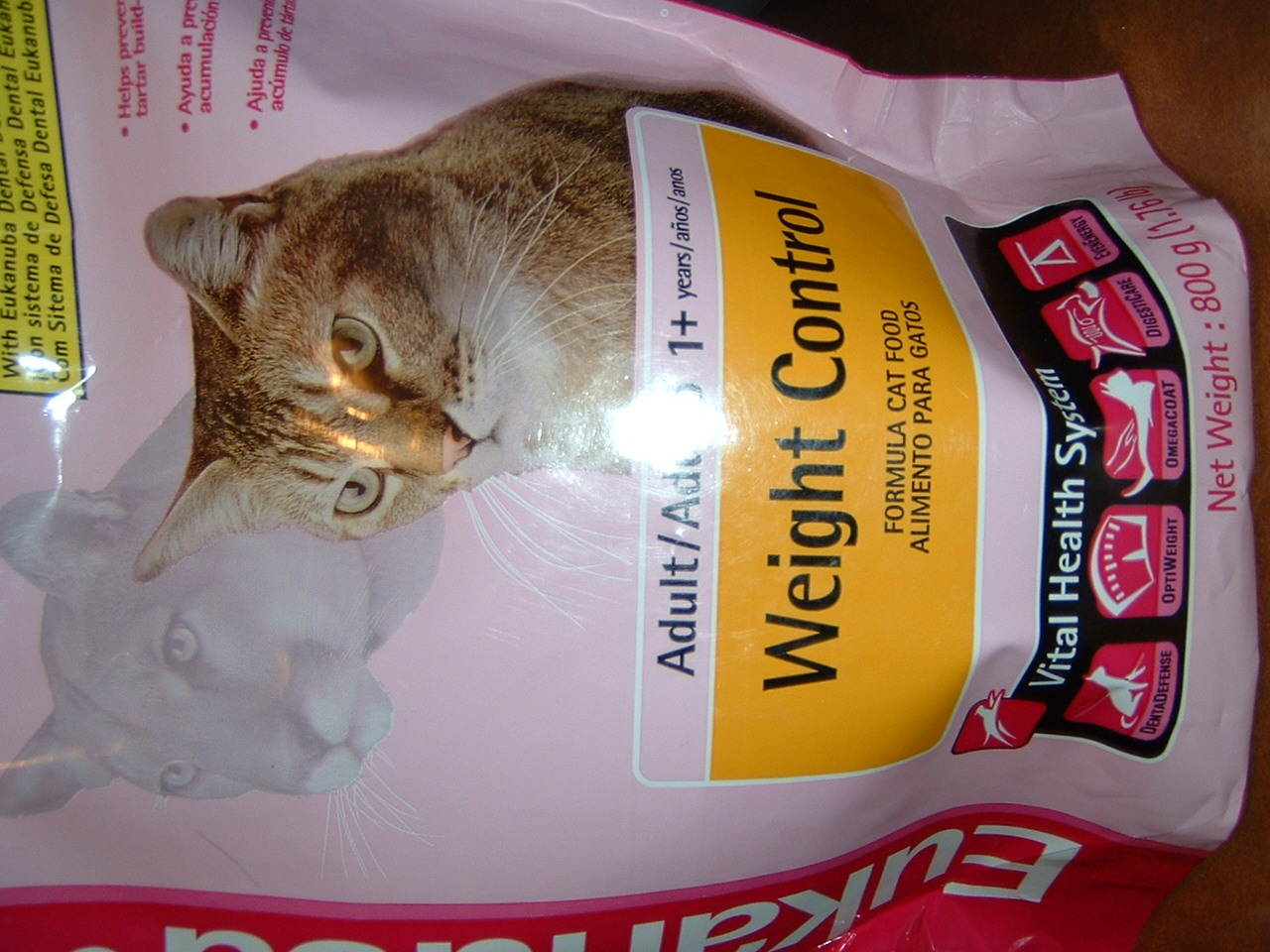 DSCF0021.JPG