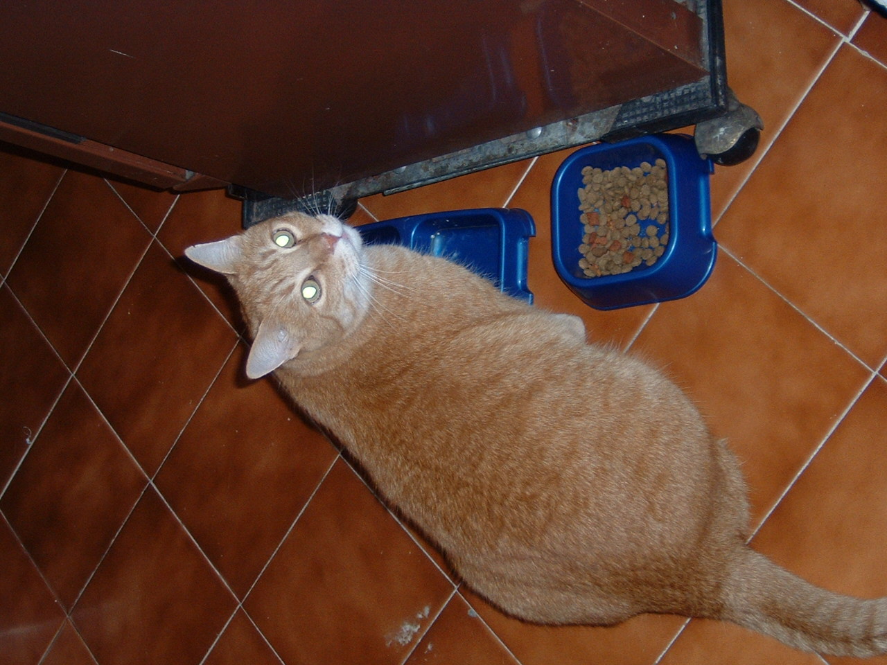 DSCF0023.JPG