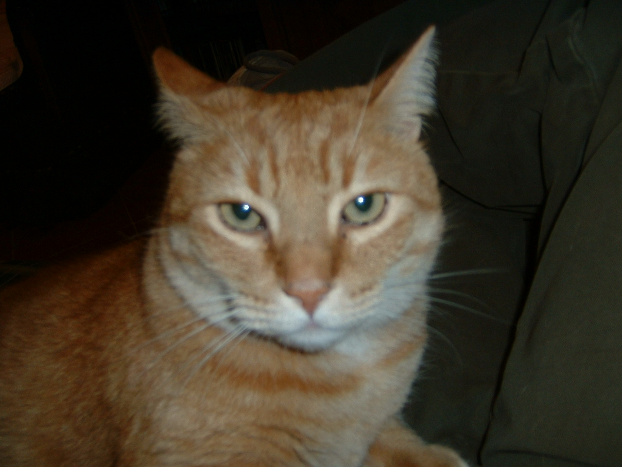 dscf0024.jpg